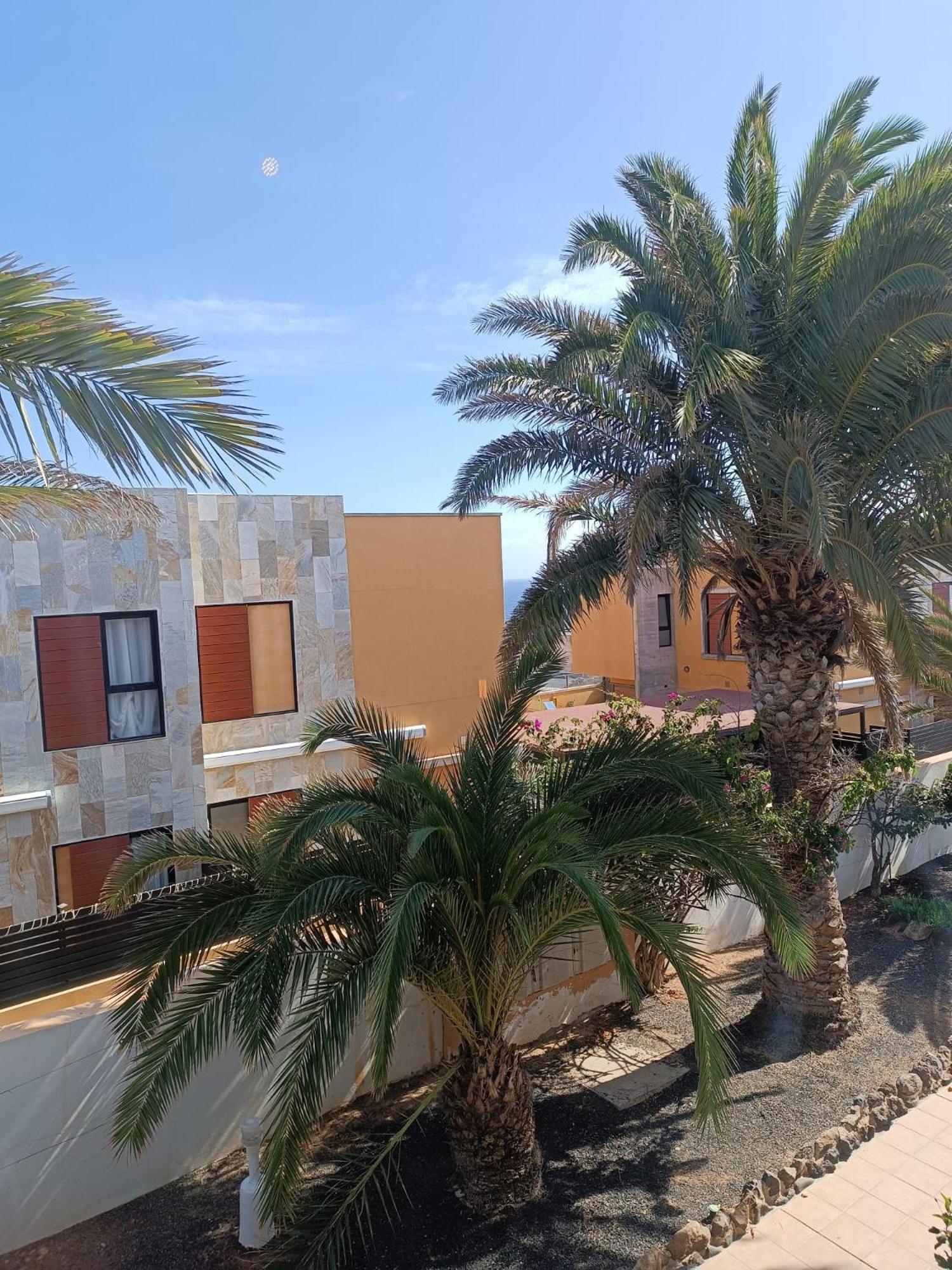 Apartamento Reload Complex Amaya Fuerteventura Costa De Antigua Exterior foto